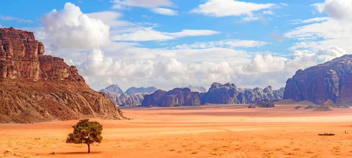 Wadi Rum Bubble Tent & Bedouin Style Εξωτερικό φωτογραφία